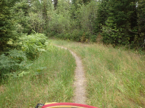 GDMBR: This single track trail was relatively easy; it was uphill.